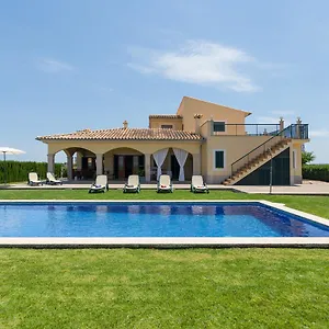 Mussol , Sa Pobla Spanien